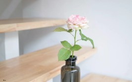 入秋喝什么茶好？该喝红茶如故绿茶？不同很大弄懂再喝不损失，冬天喝什么茶好是最好的？及隆平高科：股票生意相接2个生意日涨幅偏离值累计超20%，湖南有好茶靠守艺茶守艺到场第十六届湖南省茶业展览会