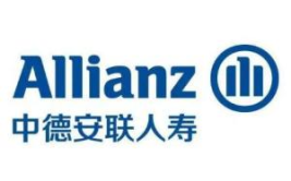 中德安联人寿保险,融合国际视野与本土智慧，打造全方位保险金融服务