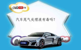 汽车尾气处理,挑战与解决方案综述