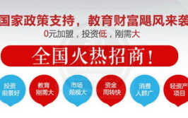 教育网 代理,基于第二教育网的代理实践与启示
