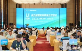 瓜子二手车打造满意消费新标杆第五届国际品牌湖北对接会在琼举行
