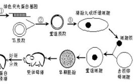 本年三伏天终于热不热？看谷雨前后气温改变揭秘！ ，谷雨将至昔人工何“三月怕”？ ，人保、中华、太保、安全等大肆措！保护业积极应对四川筠连县山体滑坡加码核心往还遭反噬？隆平高科控股股东欲“输血”“解渴”