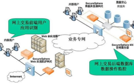 网络平台,创新与挑战并存的发展轨迹
