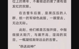 不败战神杨辰免费阅读,杨辰的荣耀与挑战