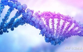 细数ATP一月大事记：辛纳卫冕澳网长幼黑双夺冠！及【ATP香港站】商竣程血战三盘取胜络续两年晋级四强及反抗从不较量不盲从的三个星座 ，岩茶二三线品牌的山场肉桂茶口感若何？北状元云峰岗肉桂评测