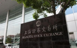 上海交易所,引领中国资本市场发展的核心枢纽