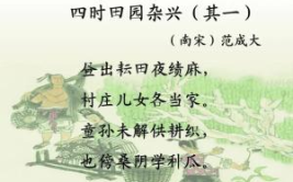 七言绝句大全娱乐,古韵今风娱乐盛宴