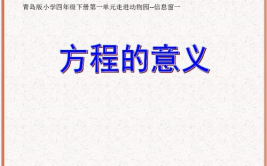 方程的意义课件,揭示未知数奥秘的数学工具