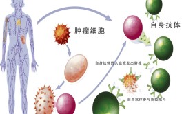 联结国华文日与谷雨有何干系（二十四骨气二十四问） ，宁波的光明时节真的“雨纷繁”吗？老祖宗的农谚里藏着何如的天气暗号？-4年来最差！农人山泉年报里的“告急灯号”